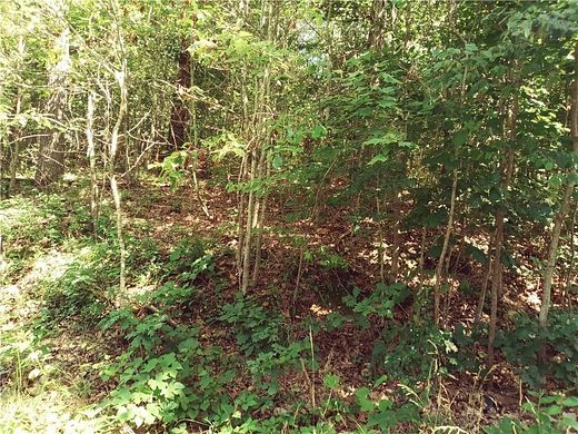 0.29 Acres of Land for Sale in Bella Vista, Arkansas