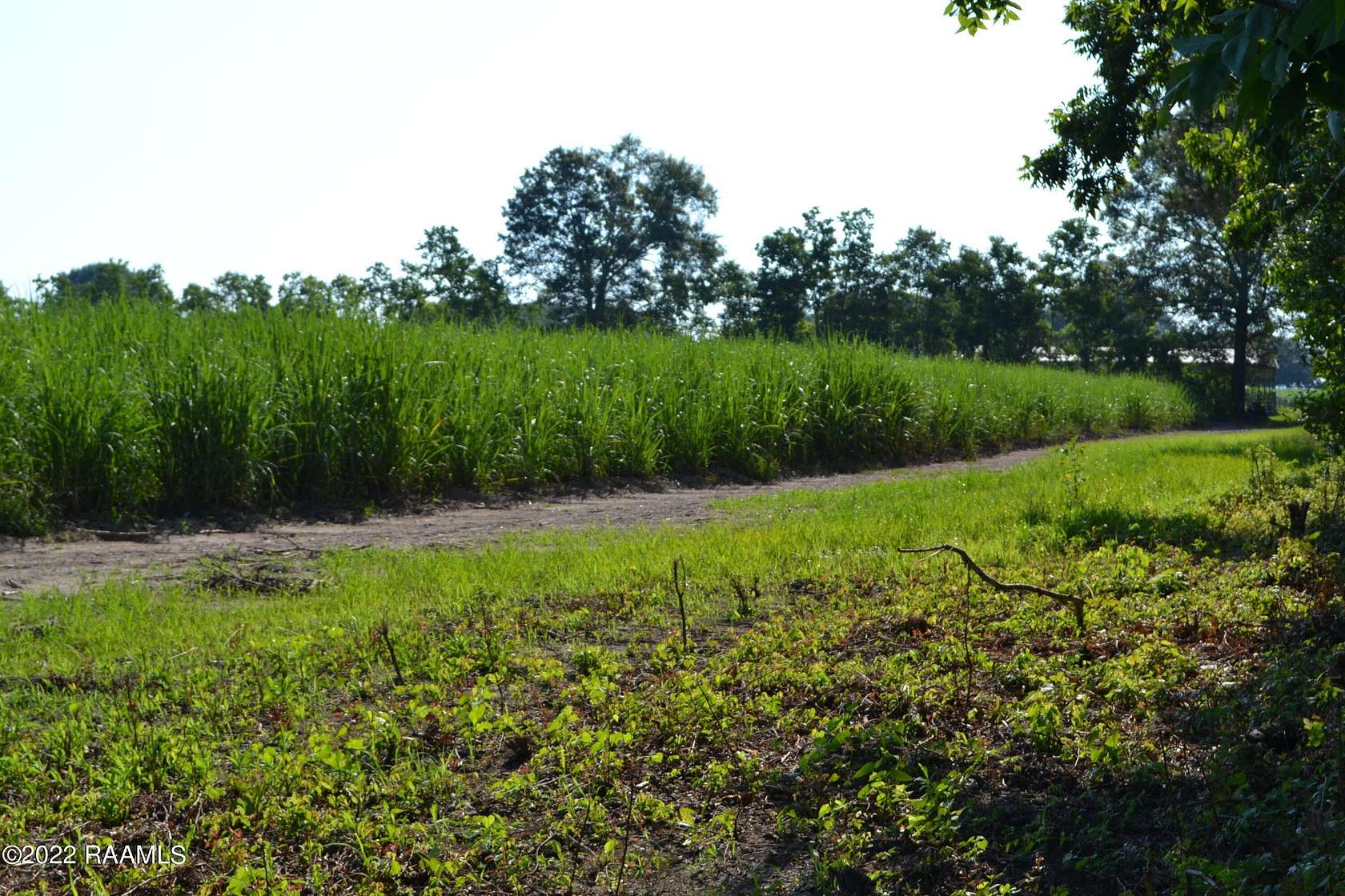 10.2 Acres of Commercial Land for Sale in New Iberia, Louisiana