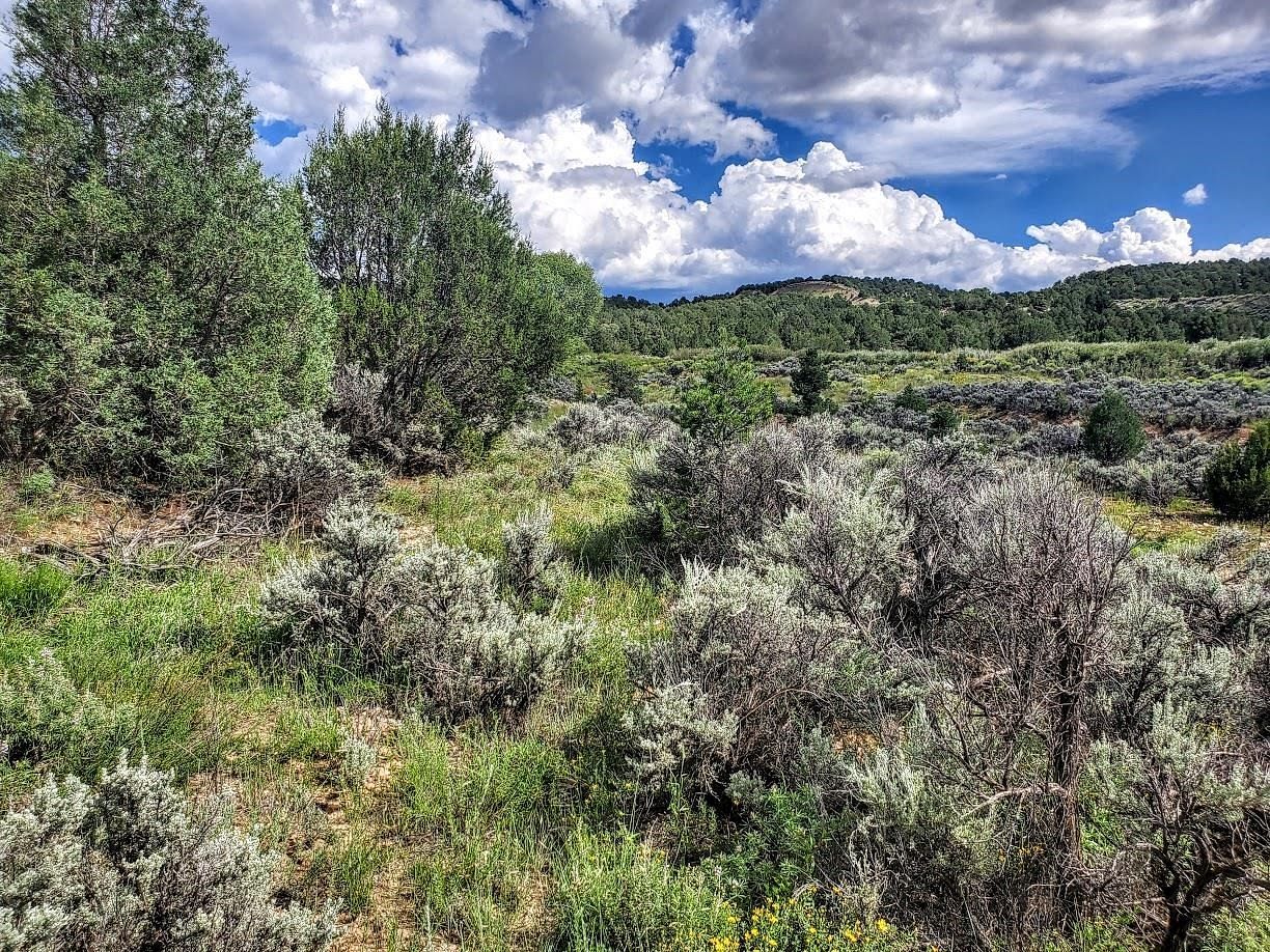 12.2 Acres of Land for Sale in Arroyo Hondo, New Mexico