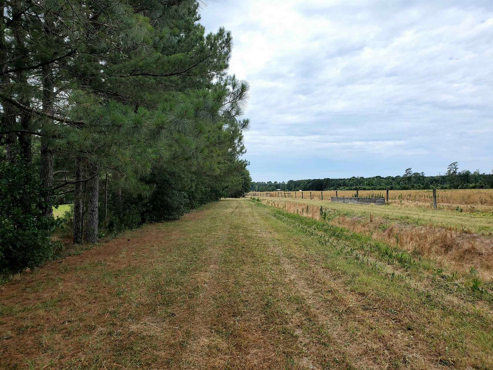 3.4 Acres of Residential Land with Home for Sale in Micro, North Carolina