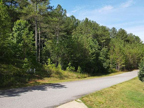 1 Acre of Land for Sale in Blairsville, Georgia