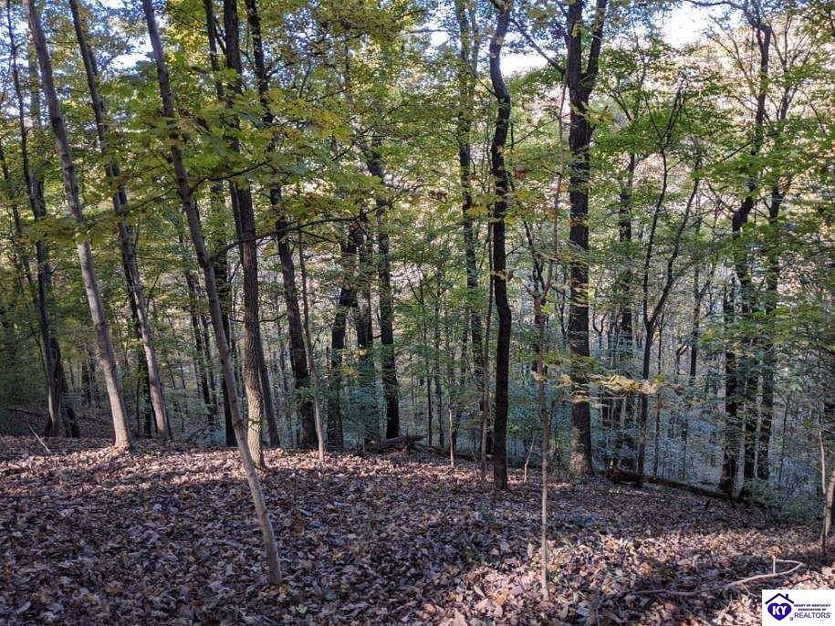 7.7 Acres of Land for Sale in Louisville, Kentucky