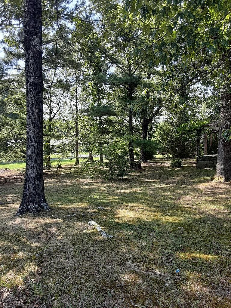 Commercial Land for Sale in Chatsworth, Georgia