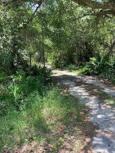 91 Acres of Land with Home for Sale in Umatilla, Florida - LandSearch