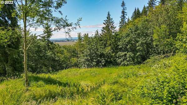 5 Acres of Residential Land for Sale in Woodland, Washington