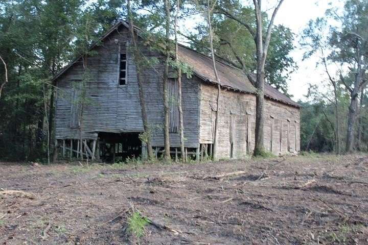36 Acres of Recreational Land for Sale in Havana, Florida