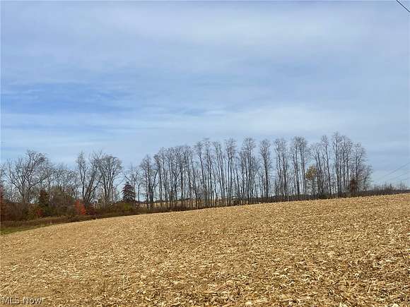 74.5 Acres of Agricultural Land for Sale in Zanesville, Ohio