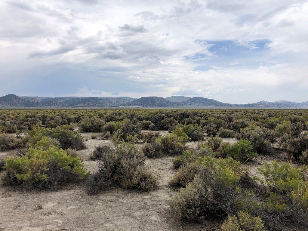 78.6 Acres of Recreational Land & Farm for Sale in Gerlach, Nevada