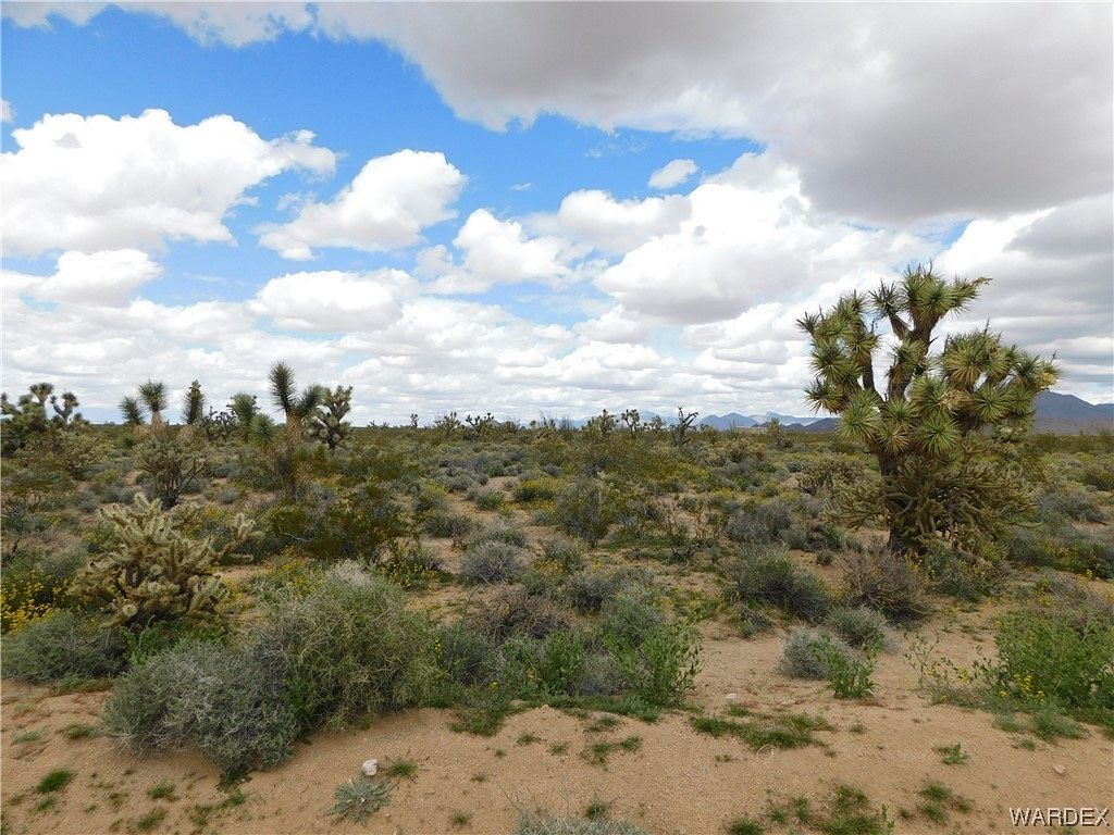 39 Acres of Land for Sale in Yucca, Arizona