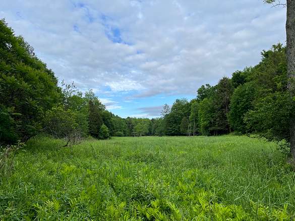 302 Acres of Recreational Land for Sale in Adams Center, New York