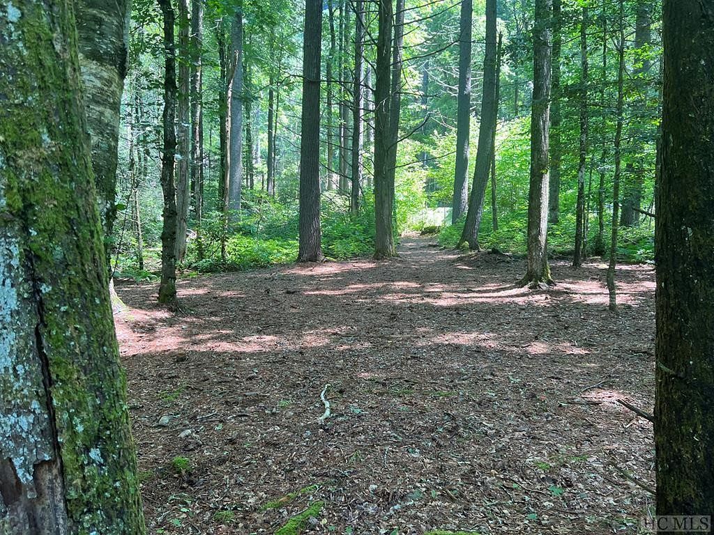 1.2 Acres of Land for Sale in Cashiers, North Carolina