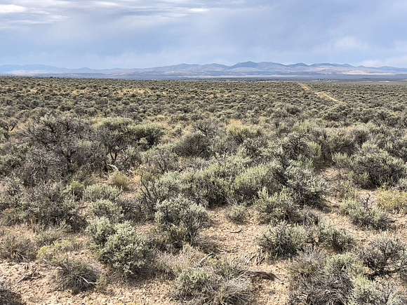 40.1 Acres of Land for Sale in Wells, Nevada