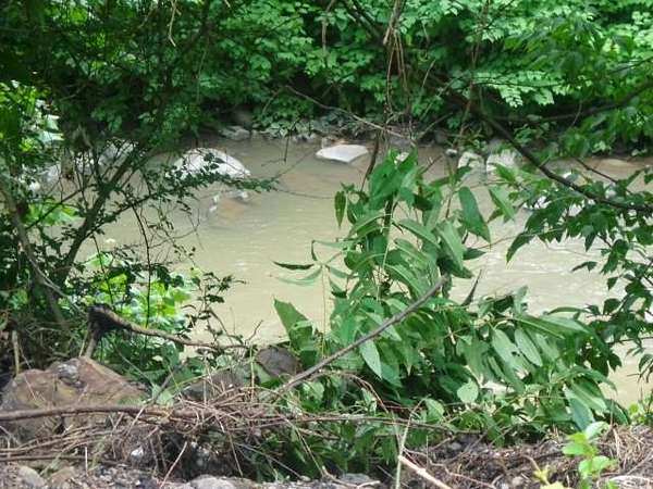 1 Acre of Land for Sale in War, West Virginia