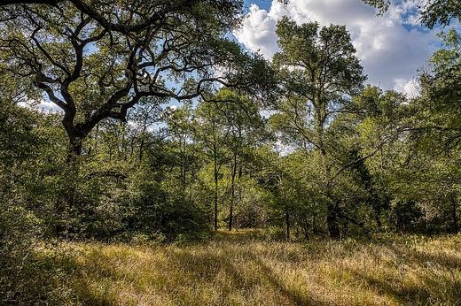 68.3 Acres of Agricultural Land for Sale in Smithville, Texas