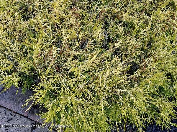 Land for Sale in Berkeley Township, New Jersey