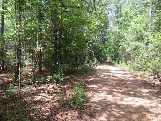 14.8 Acres of Recreational Land for Sale in Columbia, Mississippi