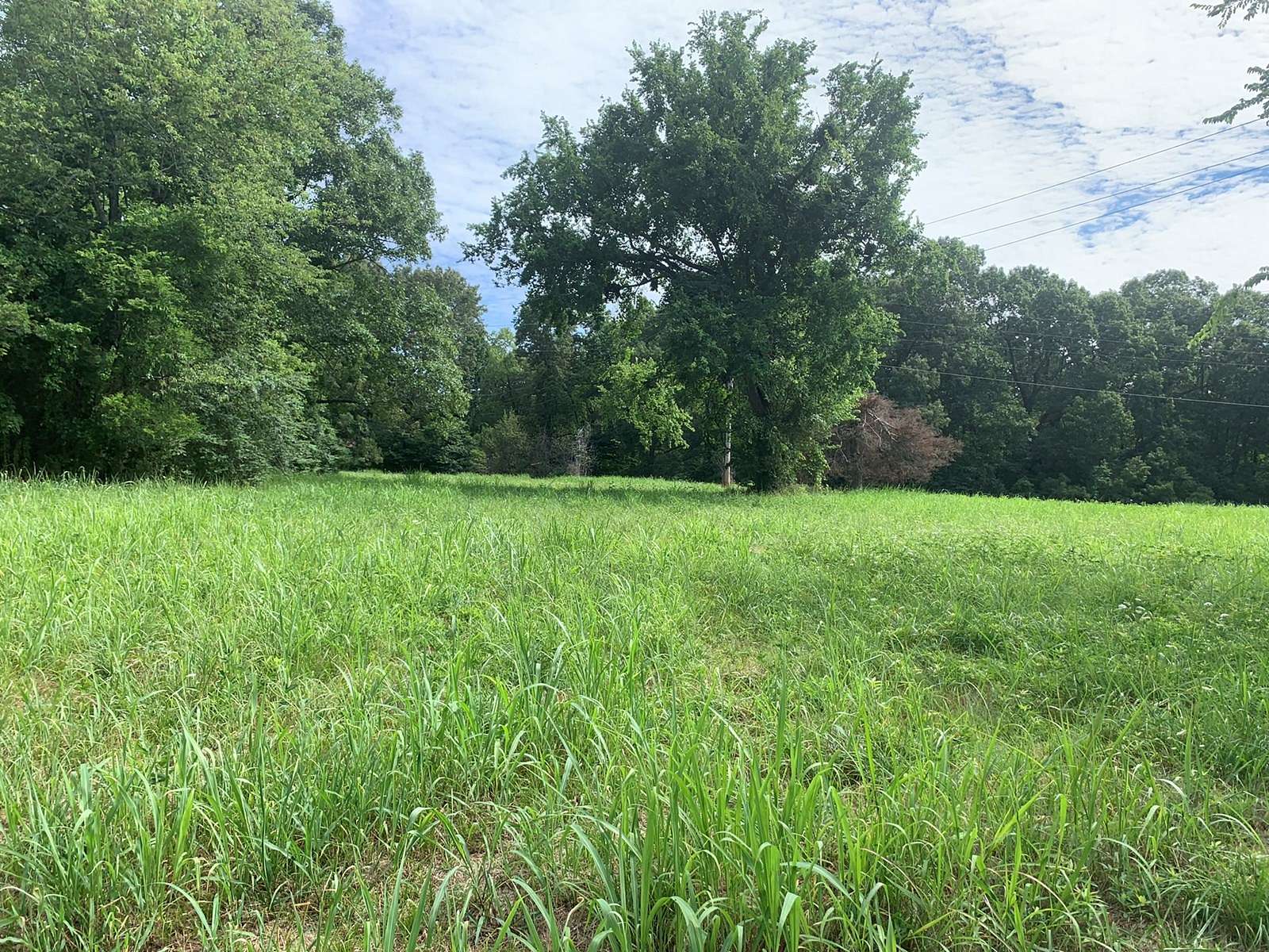 3 Acres of Agricultural Land for Sale in Yellville, Arkansas