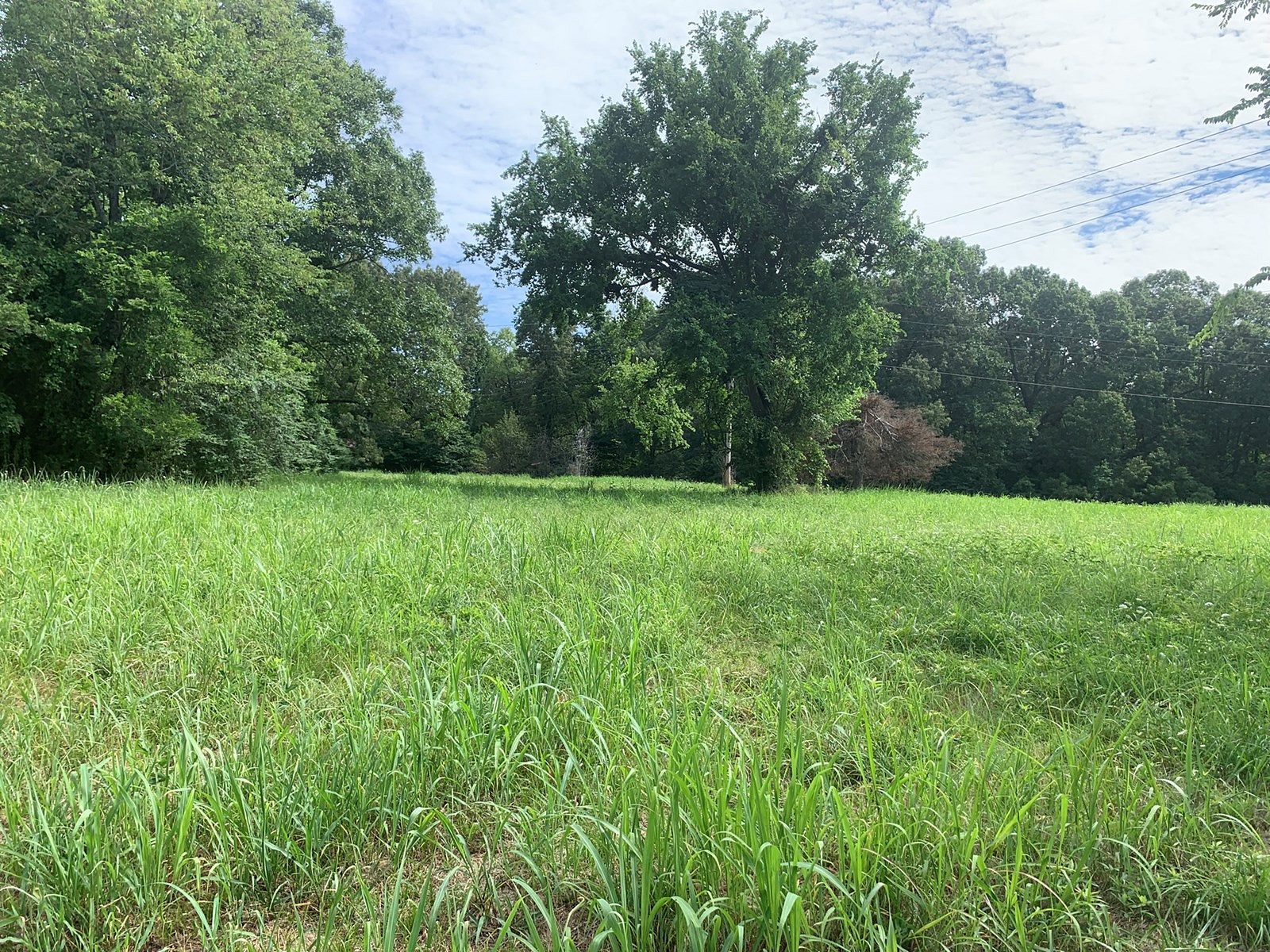 3.1 Acres of Recreational Land & Farm for Sale in Yellville, Arkansas