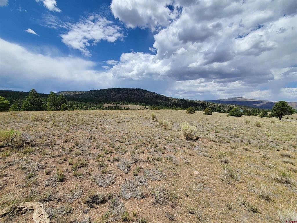 17.5 Acres of Land for Sale in Antonito, Colorado