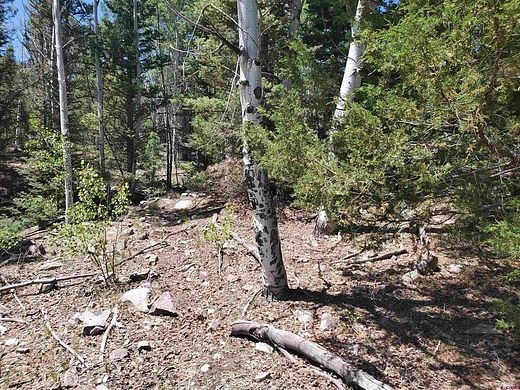 17.6 Acres of Land for Sale in Antonito, Colorado