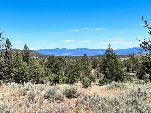 21.5 Acres of Land for Sale in Alturas, California