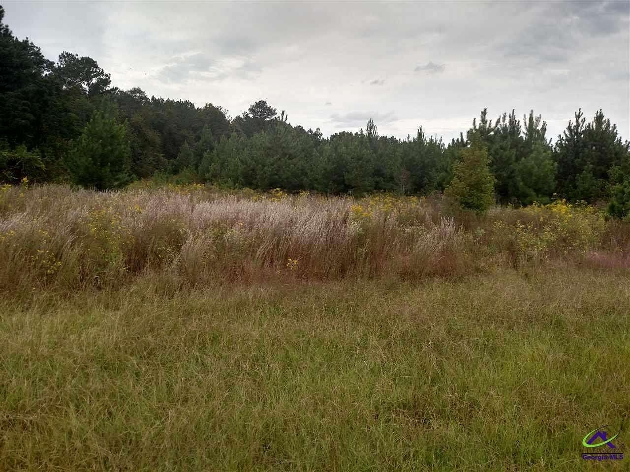 8.56 Acres of Agricultural Land for Sale in Hawkinsville, Georgia