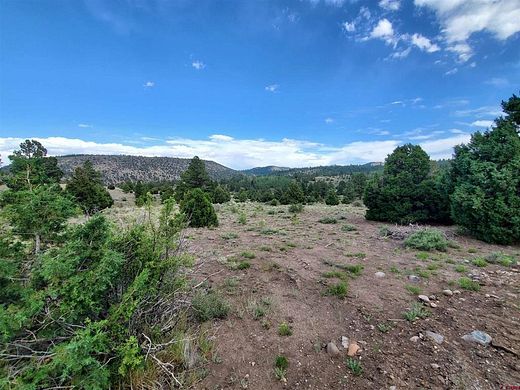 17.6 Acres of Land for Sale in Antonito, Colorado