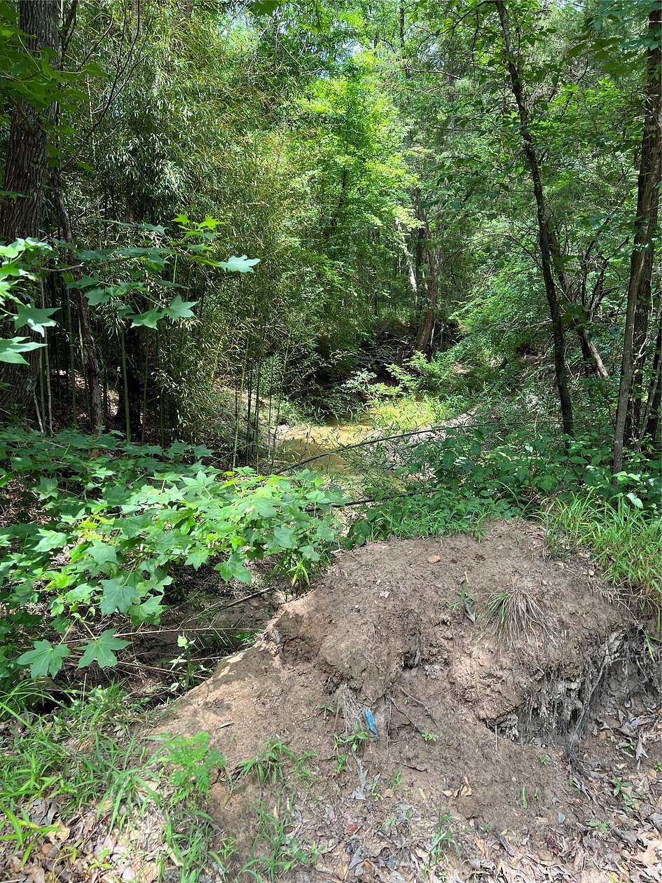 13.3 Acres of Land for Sale in Mount Vernon, Texas