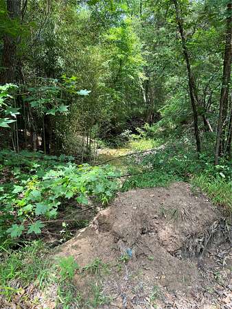 13.3 Acres of Land for Sale in Mount Vernon, Texas