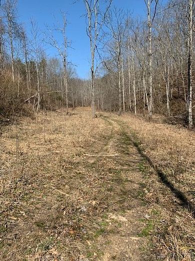 40 Acres of Recreational Land & Farm for Sale in West Liberty, Kentucky