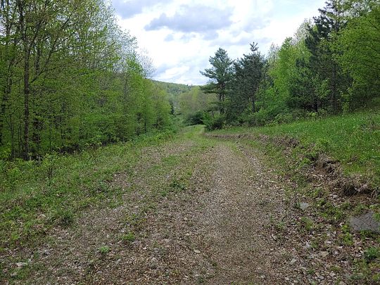 249 Acres of Recreational Land for Sale in Cooperstown, New York