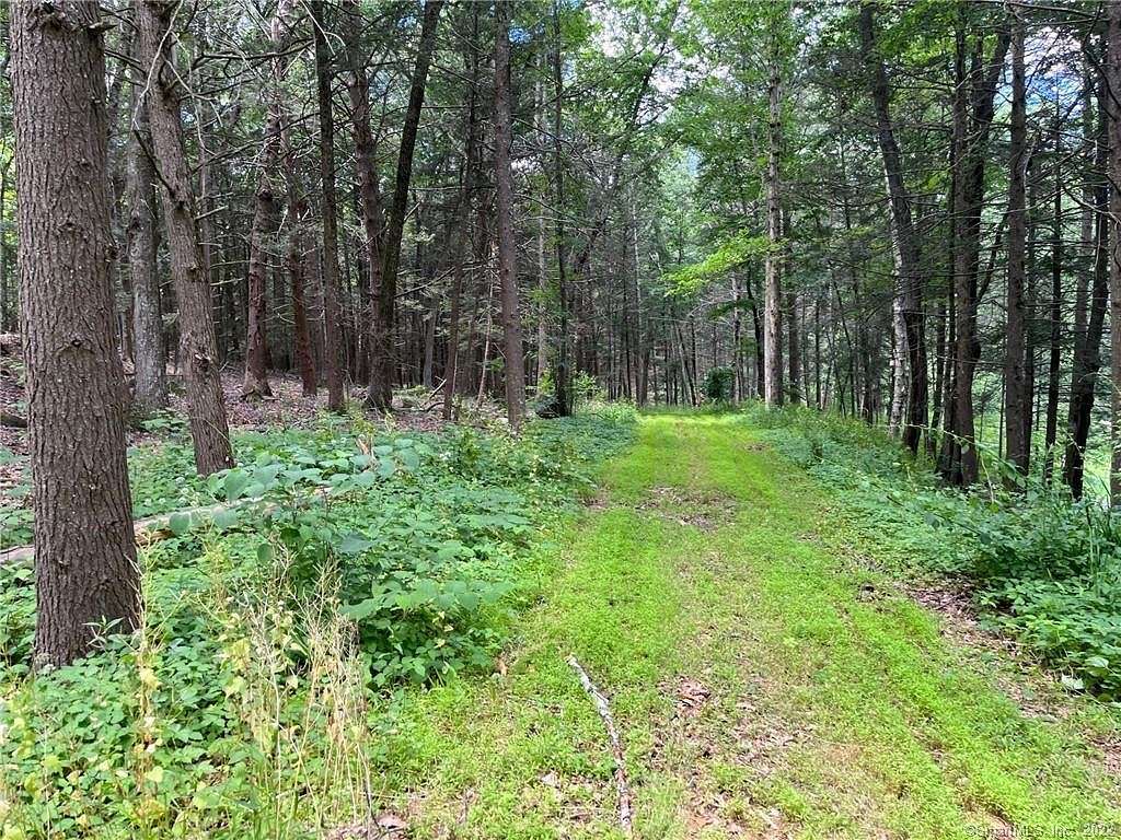 40 Acres of Land for Sale in Washington, Connecticut