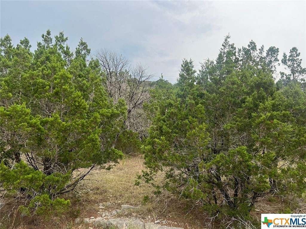 0.152 Acres of Residential Land for Sale in Canyon Lake, Texas