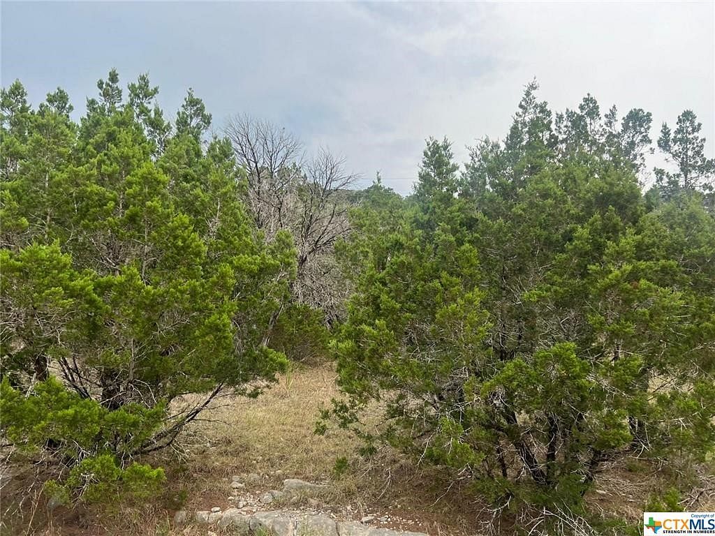 0.152 Acres of Residential Land for Sale in Canyon Lake, Texas