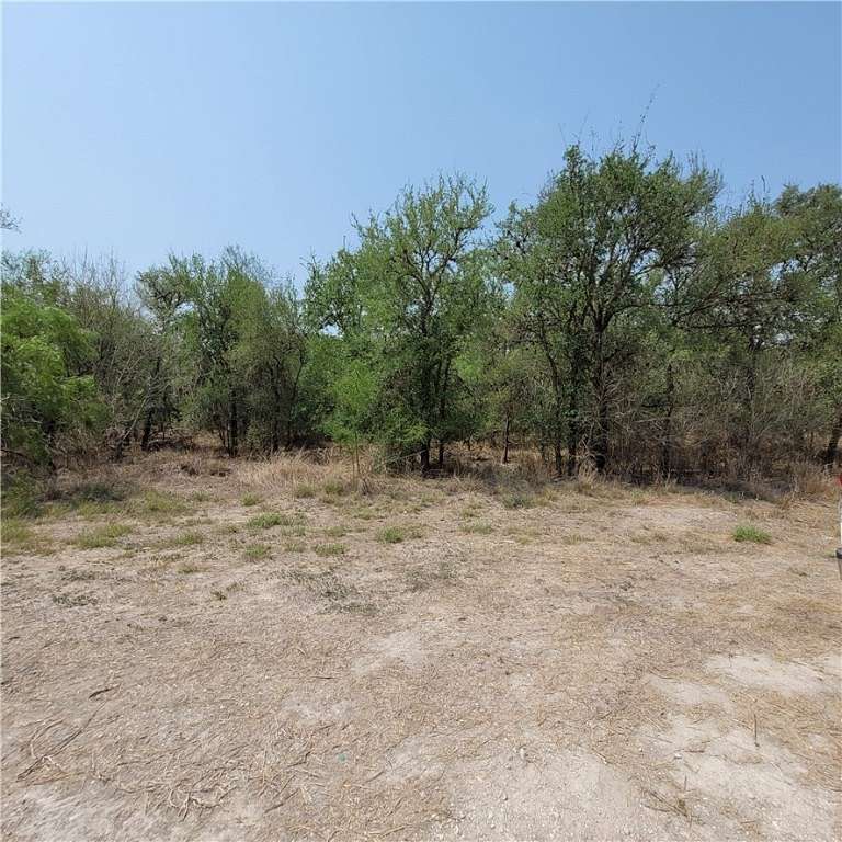 Land for Sale in Sandia, Texas