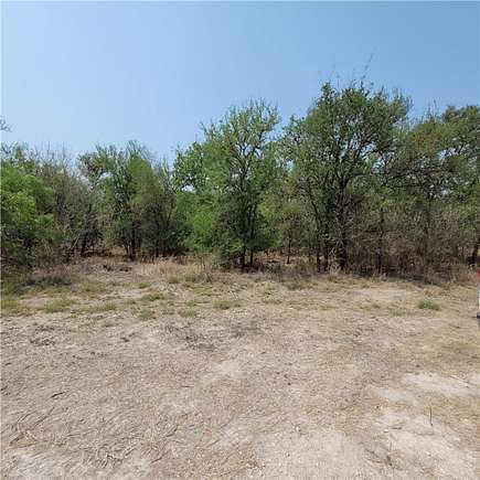 Land for Sale in Sandia, Texas