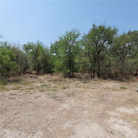 0.87 Acres of Land for Sale in Sandia, Texas