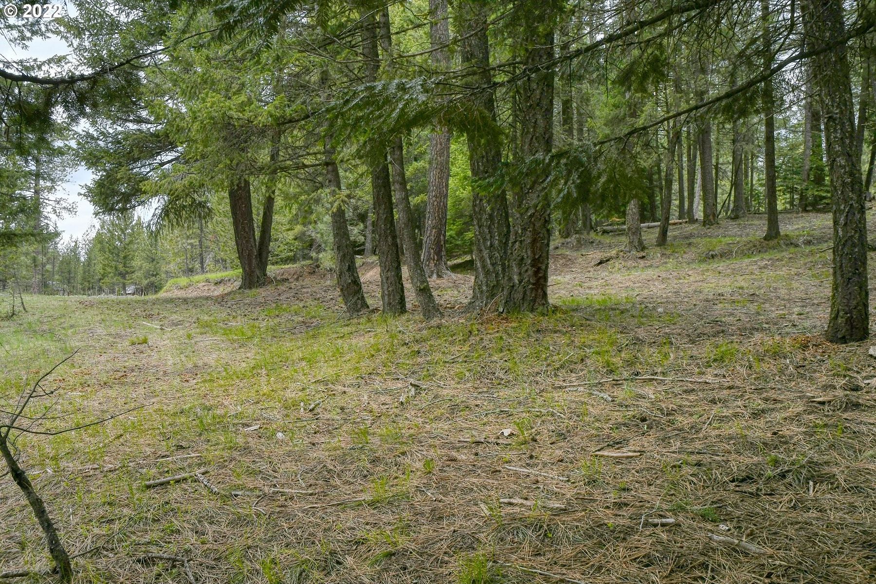 4 Acres of Residential Land for Sale in Meacham, Oregon LandSearch