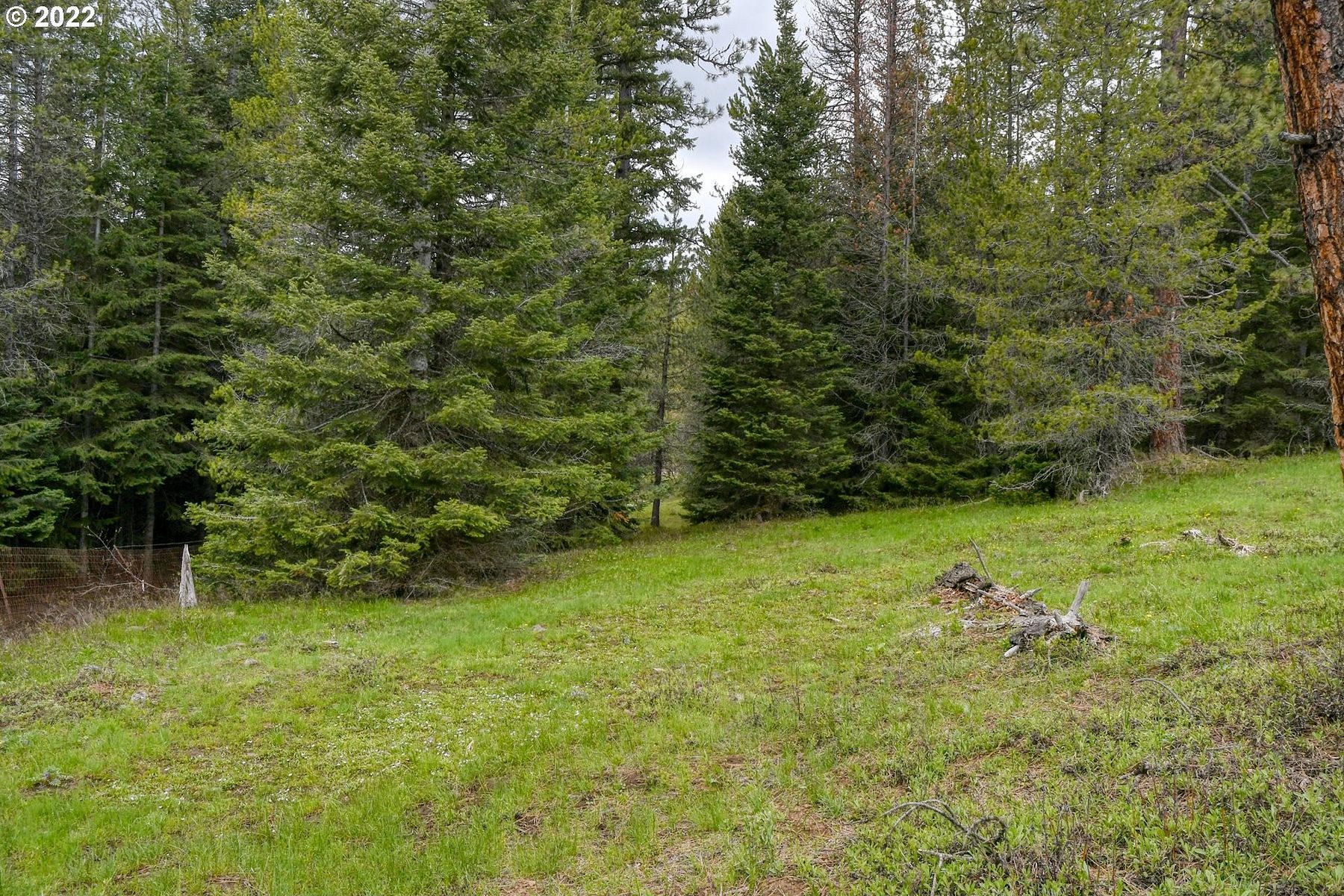 4 Acres of Residential Land for Sale in Meacham, Oregon LandSearch
