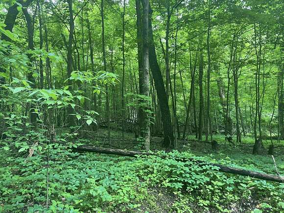 0.43 Acres of Residential Land for Sale in Sherwood, Michigan