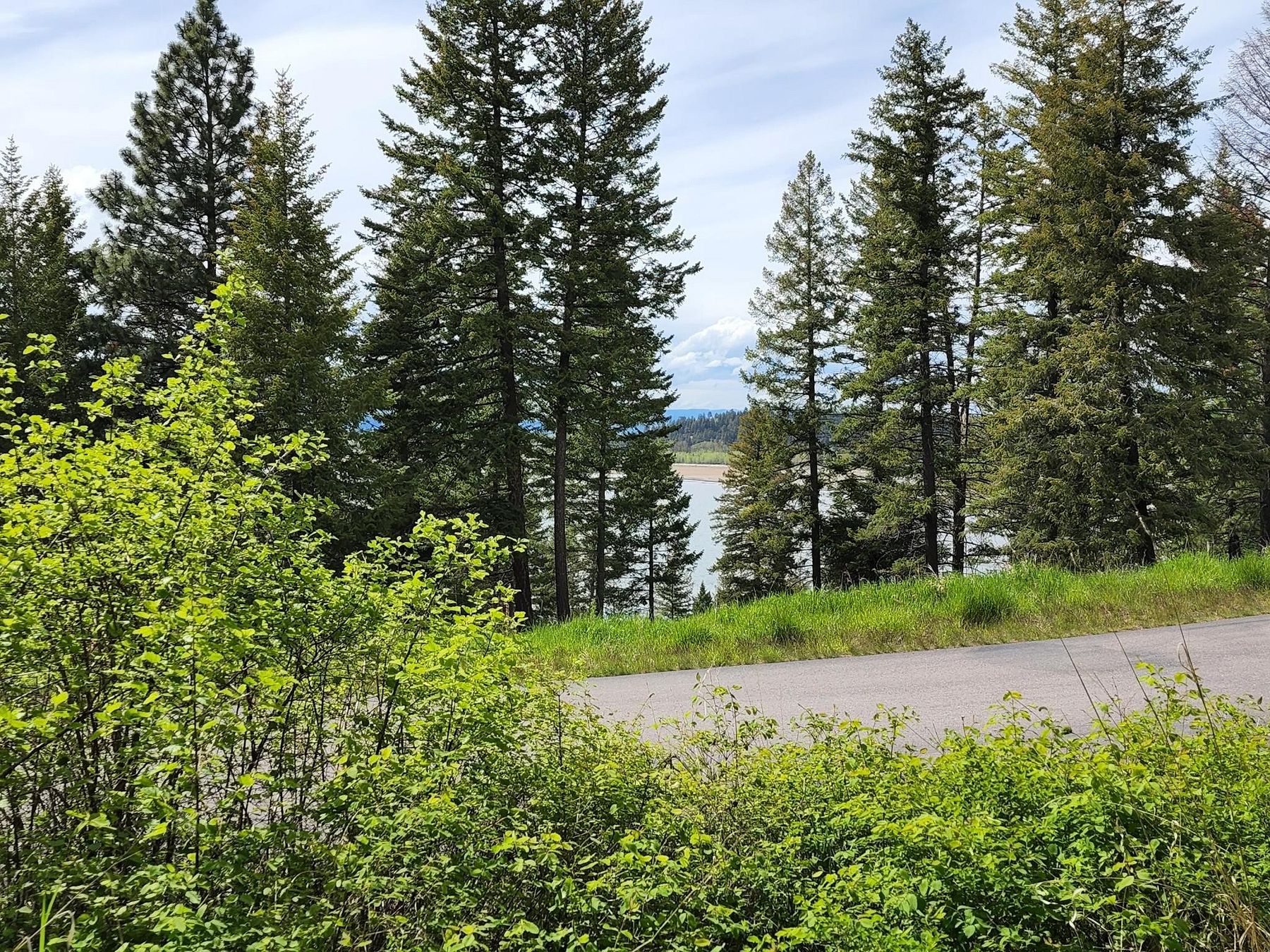 0.19 Acres of Residential Land for Sale in Bigfork, Montana