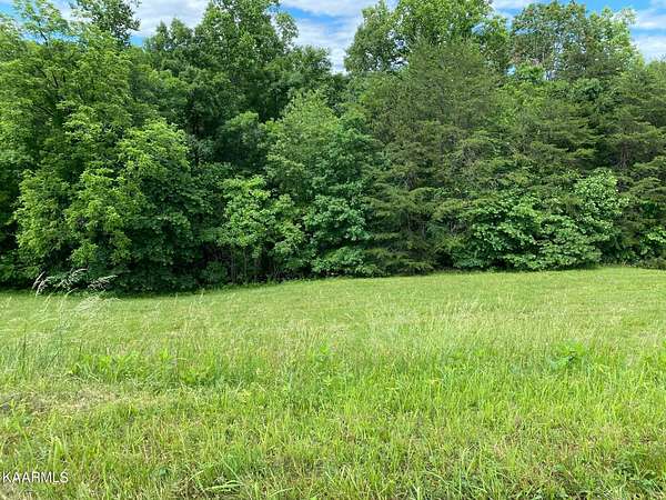 3 Acres of Residential Land for Sale in New Tazewell, Tennessee