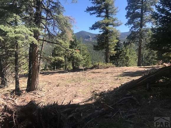 0.3 Acres of Residential Land for Sale in San Isabel, Colorado