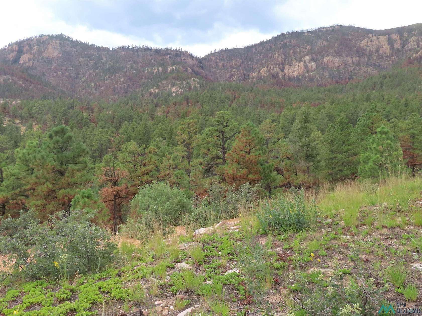 1,046 Acres of Recreational Land for Sale in Mora, New Mexico