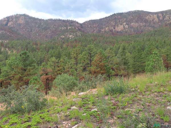 1,046 Acres of Recreational Land for Sale in Mora, New Mexico