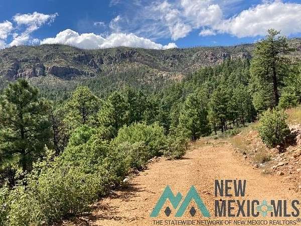 1,046 Acres of Recreational Land for Sale in Mora, New Mexico