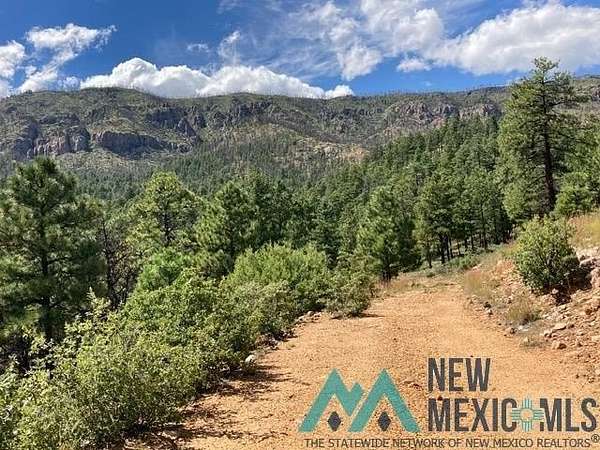 1,046 Acres of Recreational Land for Sale in Mora, New Mexico