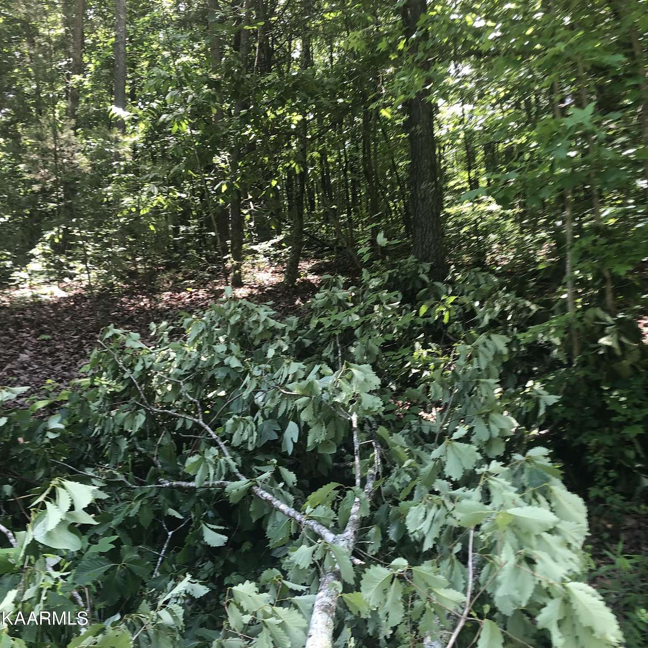 1 Acre of Residential Land for Sale in Niota, Tennessee