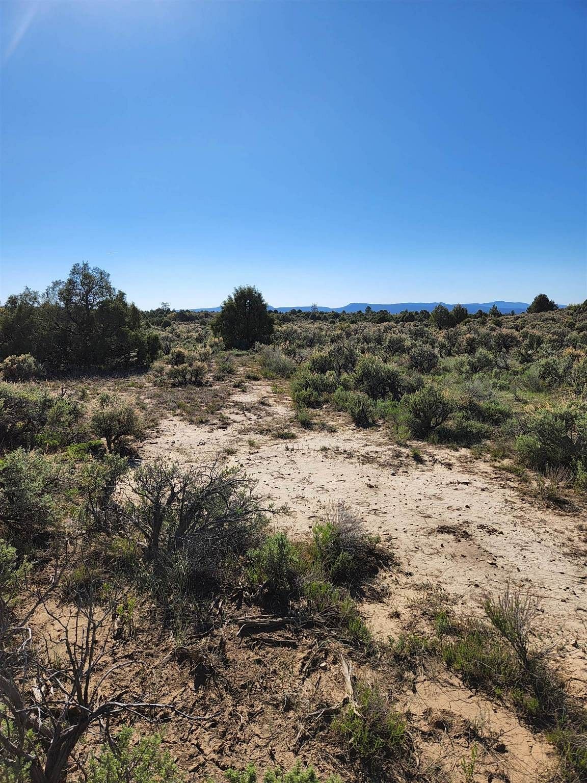 0.69 Acres of Residential Land for Sale in Tierra Amarilla, New Mexico