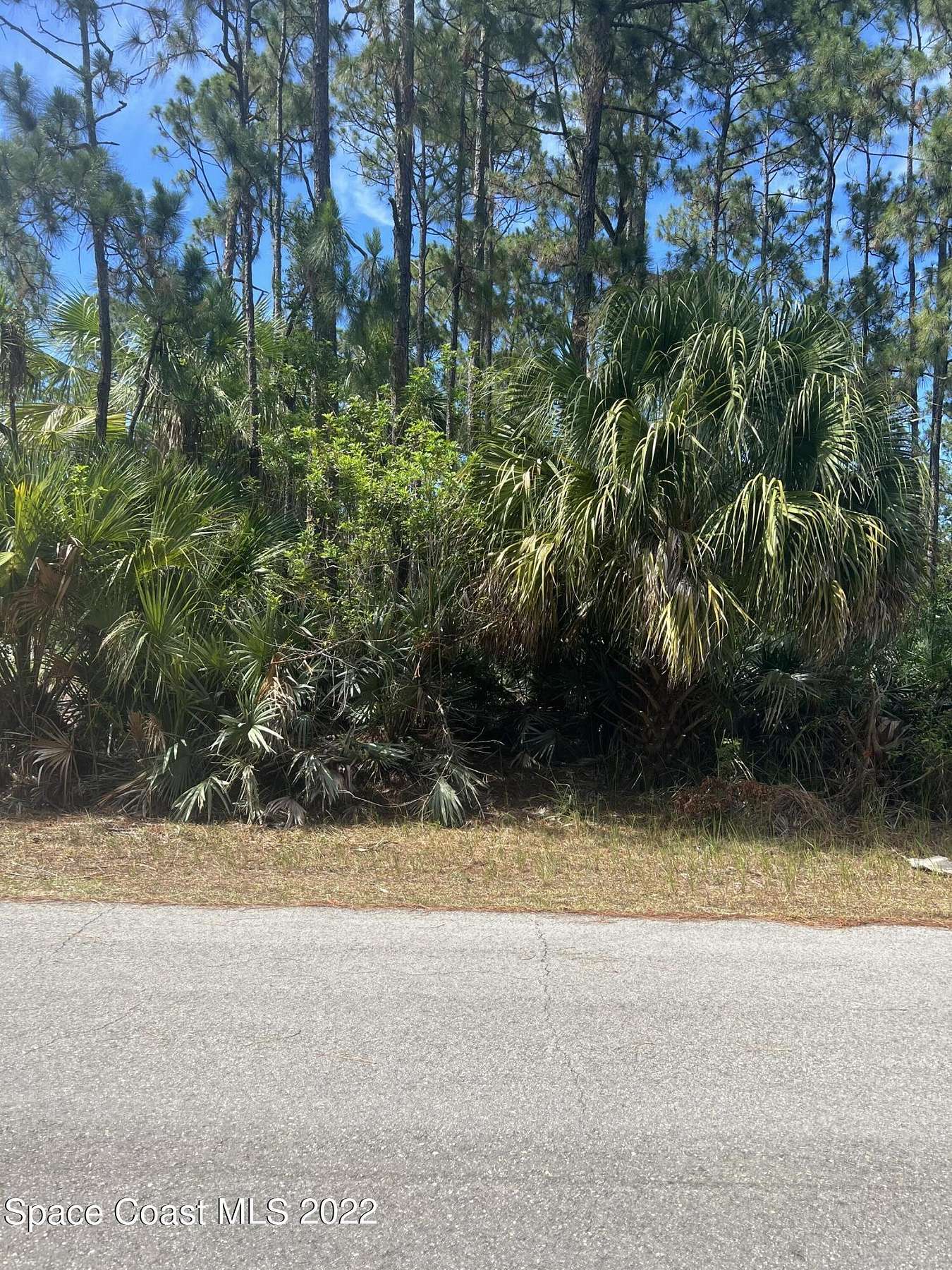 0.28 Acres of Residential Land for Sale in Palm Bay, Florida